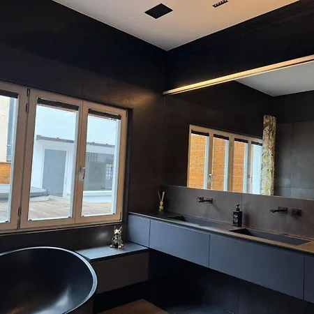 Namaste Homes - Luxus-apartment Mit Whirlpool & Garage * Bad Windsheim